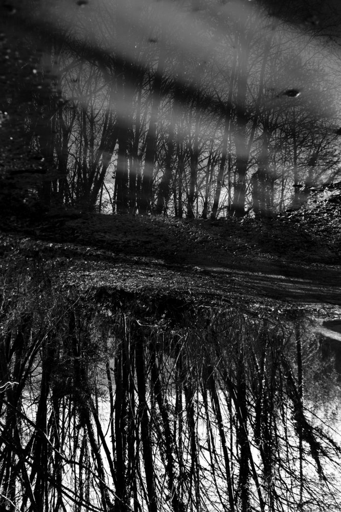 Photograph by Mauro Case