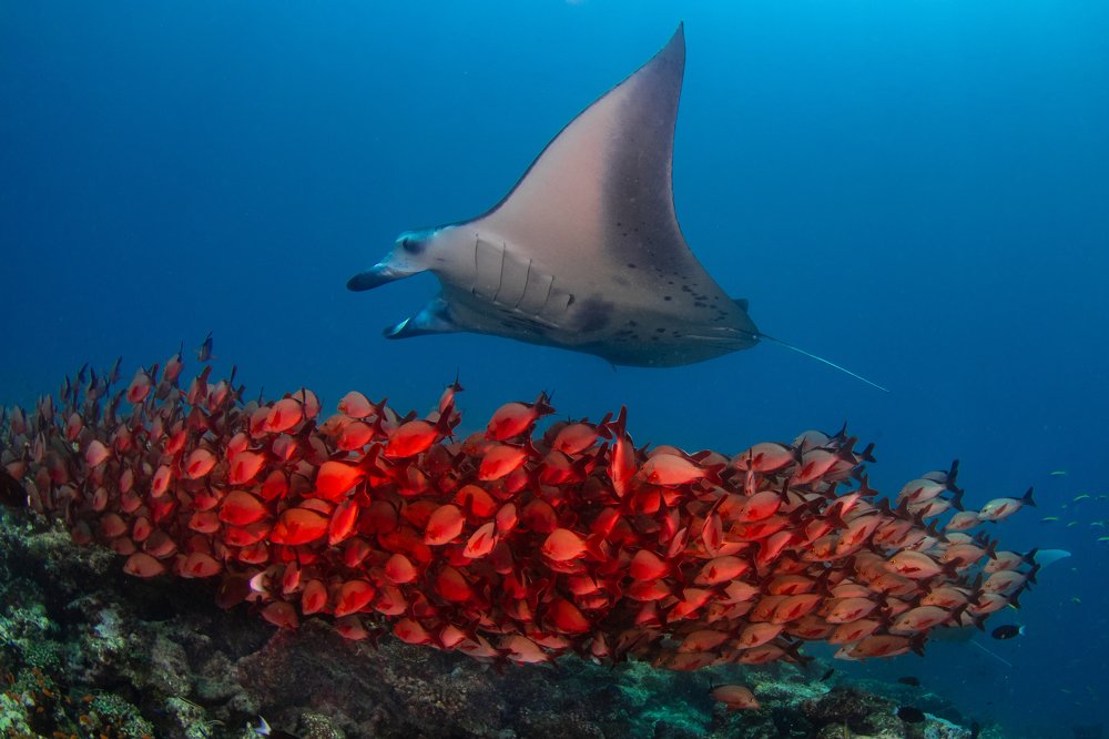 Photograph by Carlos Eduardo Barreto Pinheiro