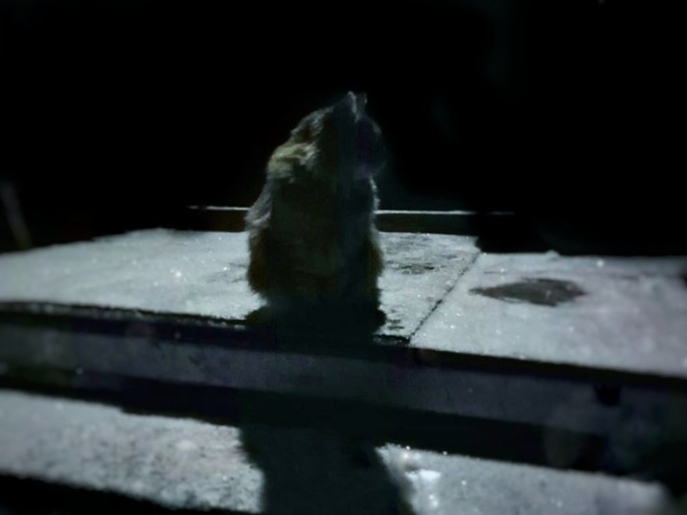 Photograph by Жанна Усатова