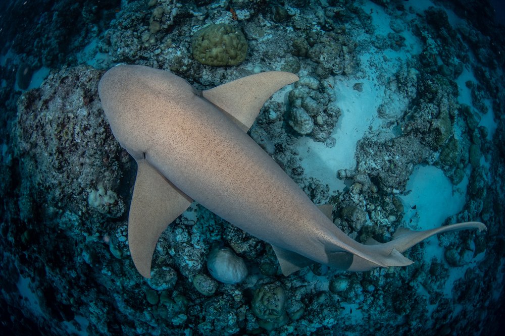 Photograph by Carlos Eduardo Barreto Pinheiro