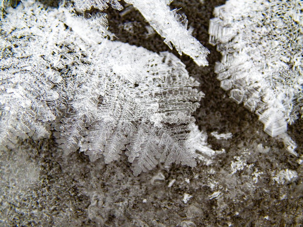 Photograph by Александра Красникова