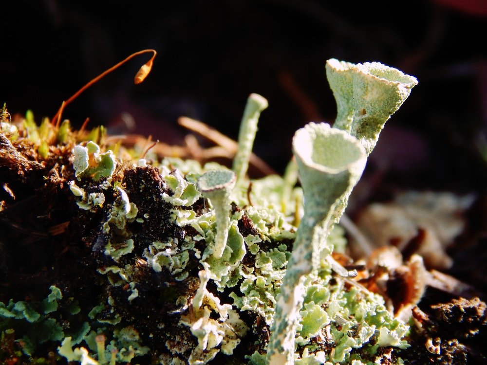 Photograph by Александра Красникова