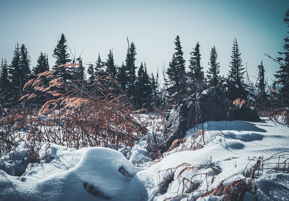 Фотография автора NIKOLAY KALININ