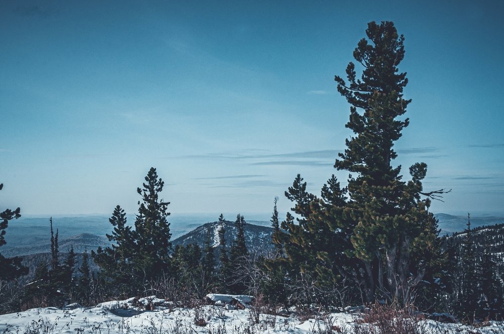 Фотография автора NIKOLAY KALININ