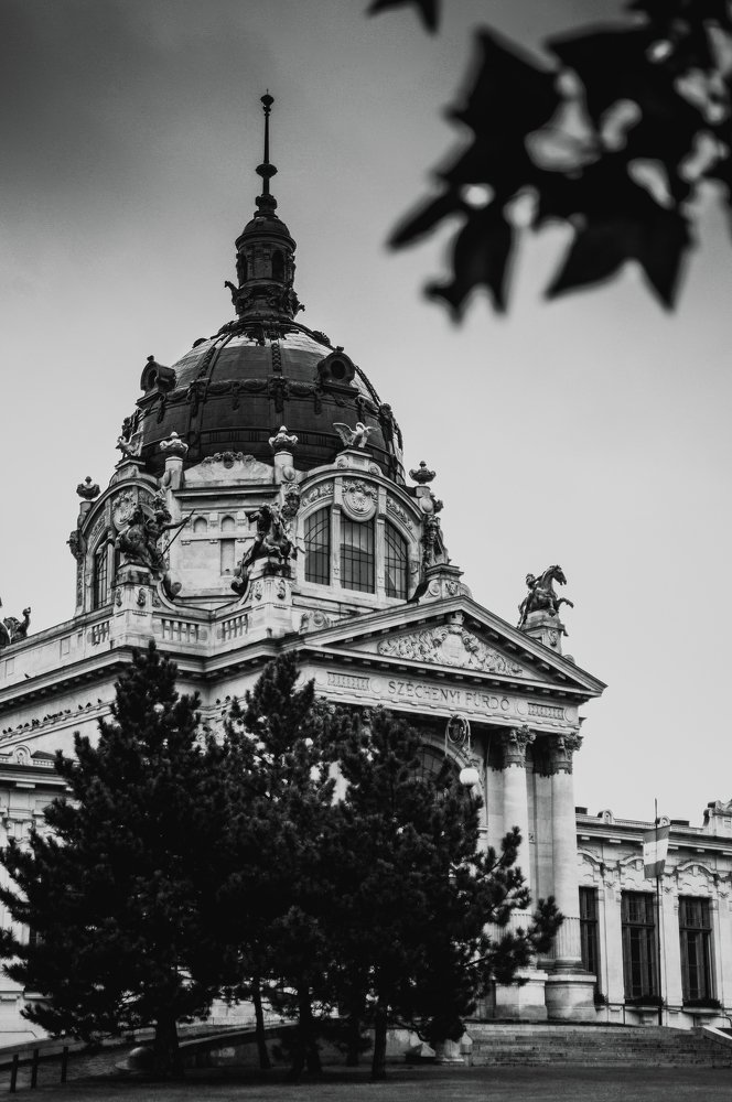 Photograph by Юрий Хорошев