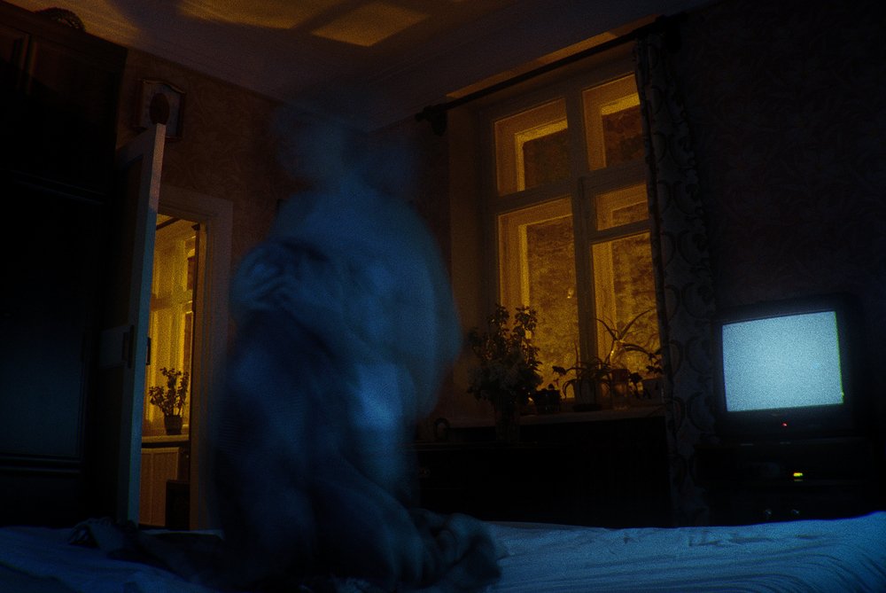 Photograph by Кирилл Жданов