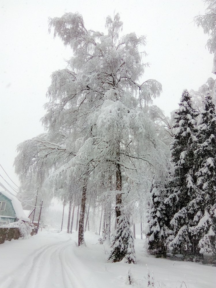 Photo #5434204