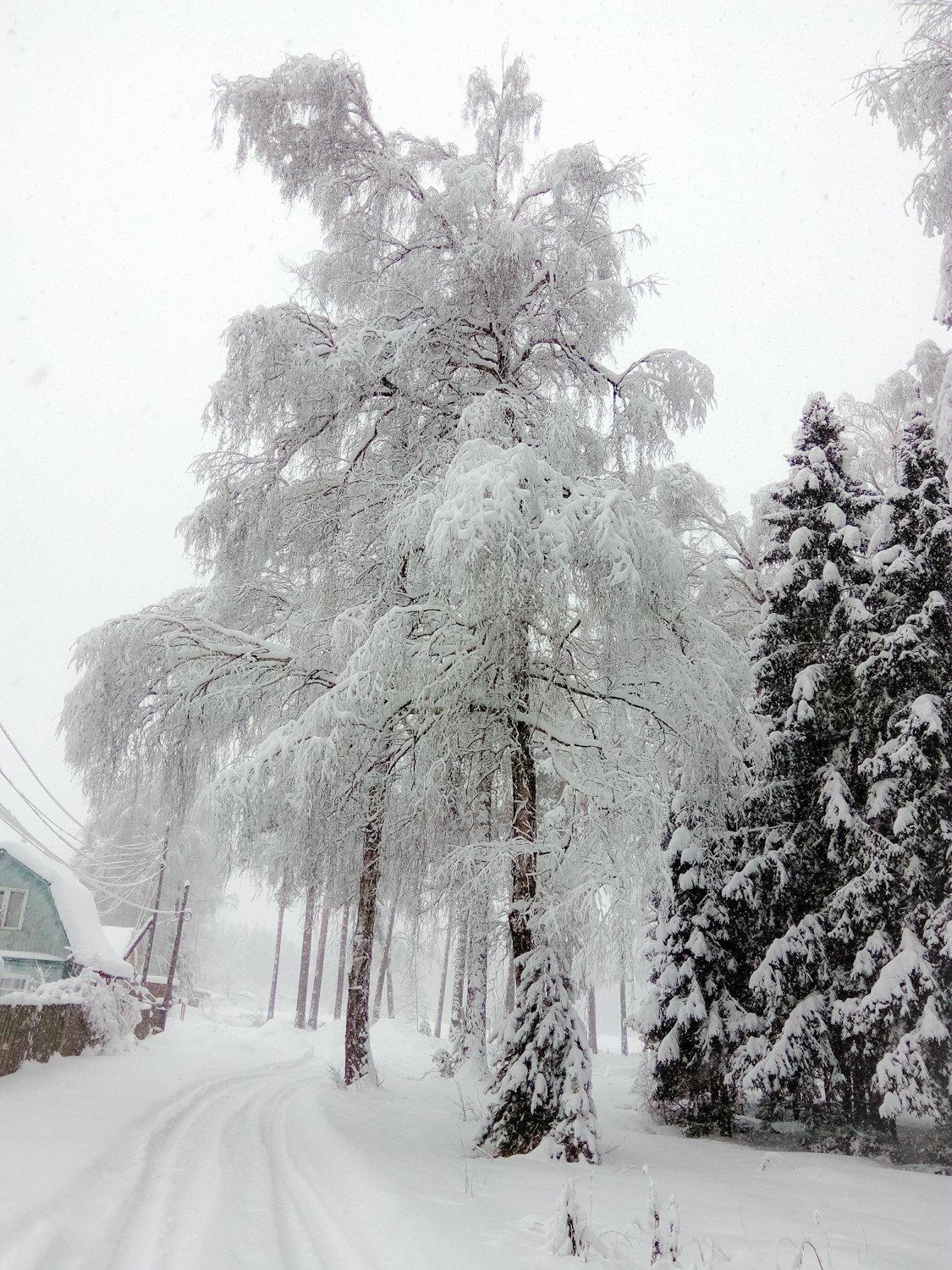 Photo #5434204