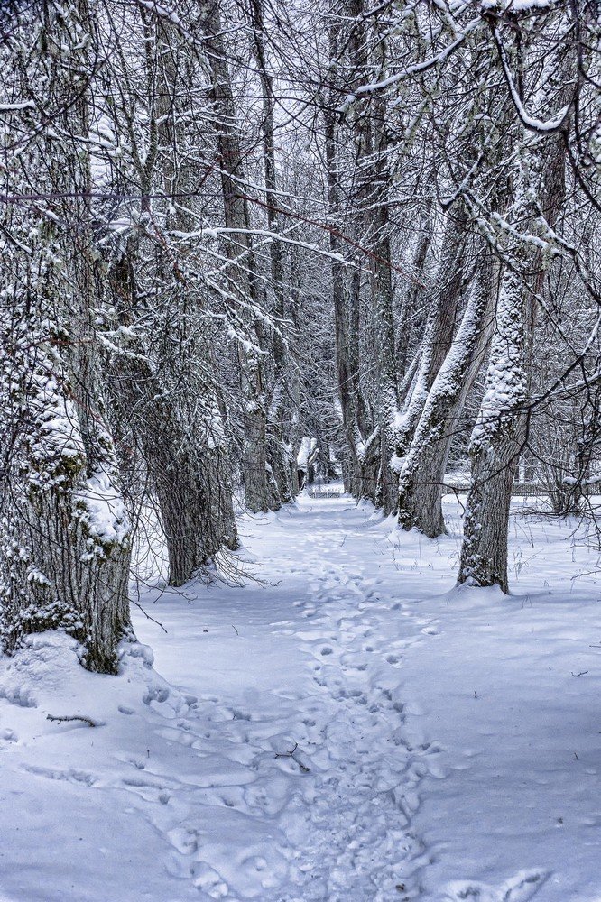 Photograph by Александр Викторович