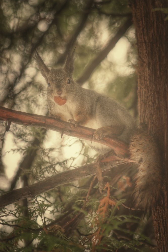 Photograph by Алексей Турсунов