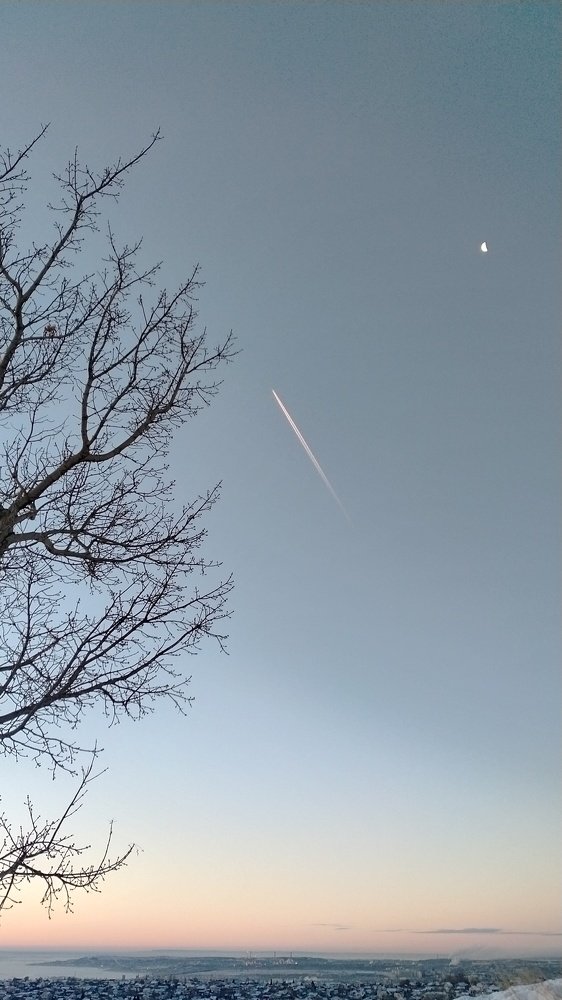 Photo #5434274