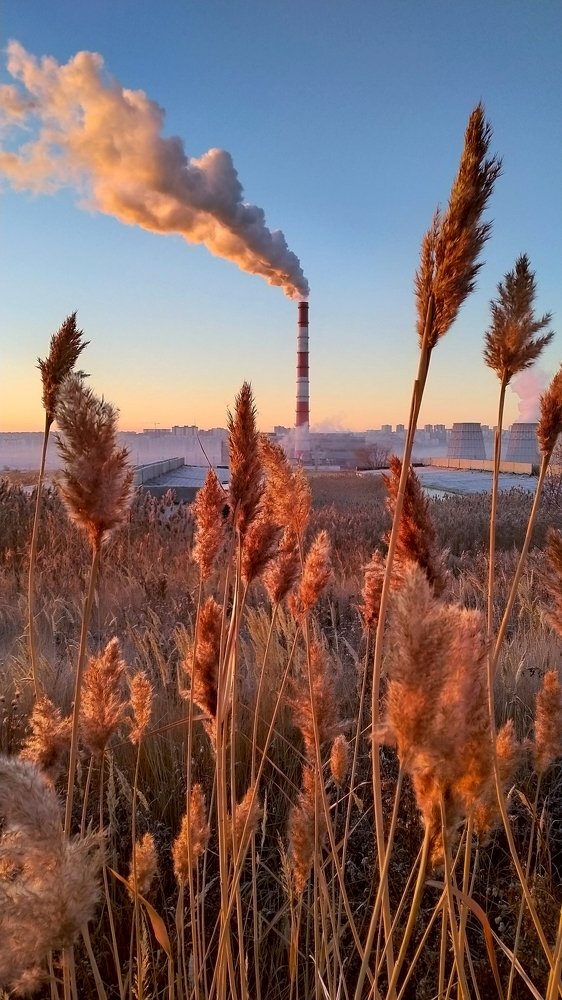 Photograph by Виталий Асташов