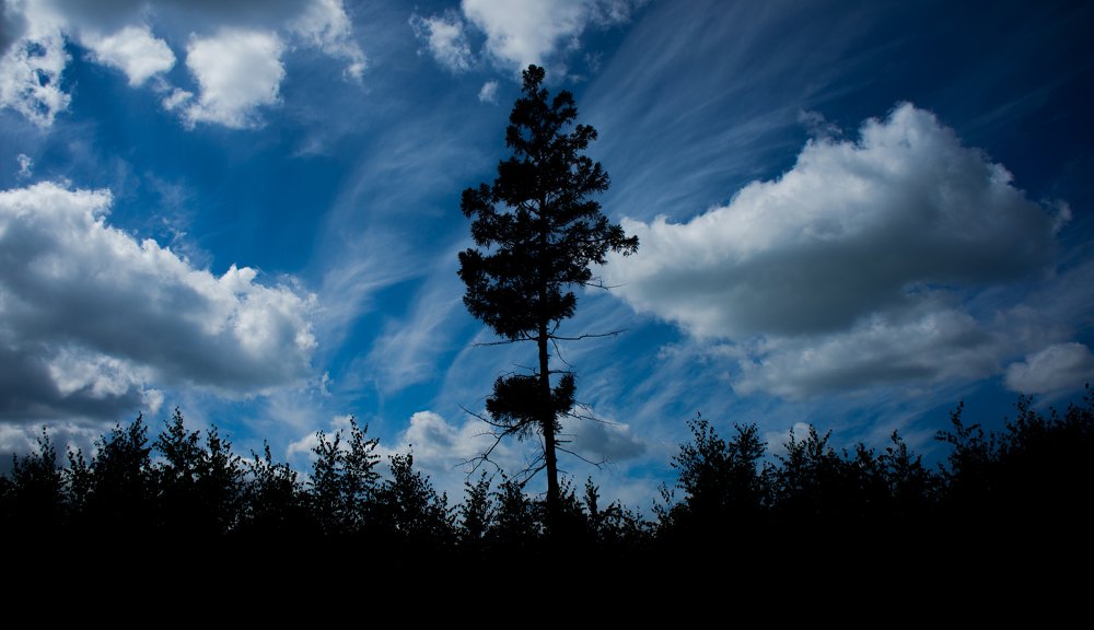 Фотография автора Соколов Серж