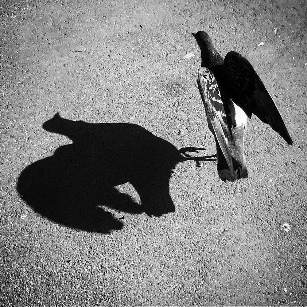 Photograph by Елена Петрюк