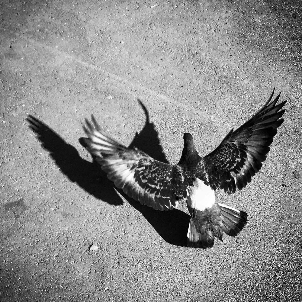 Photograph by Елена Петрюк