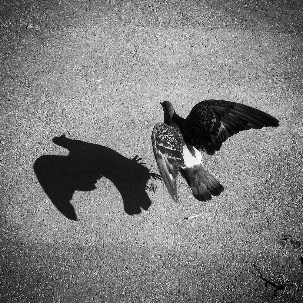 Photograph by Елена Петрюк