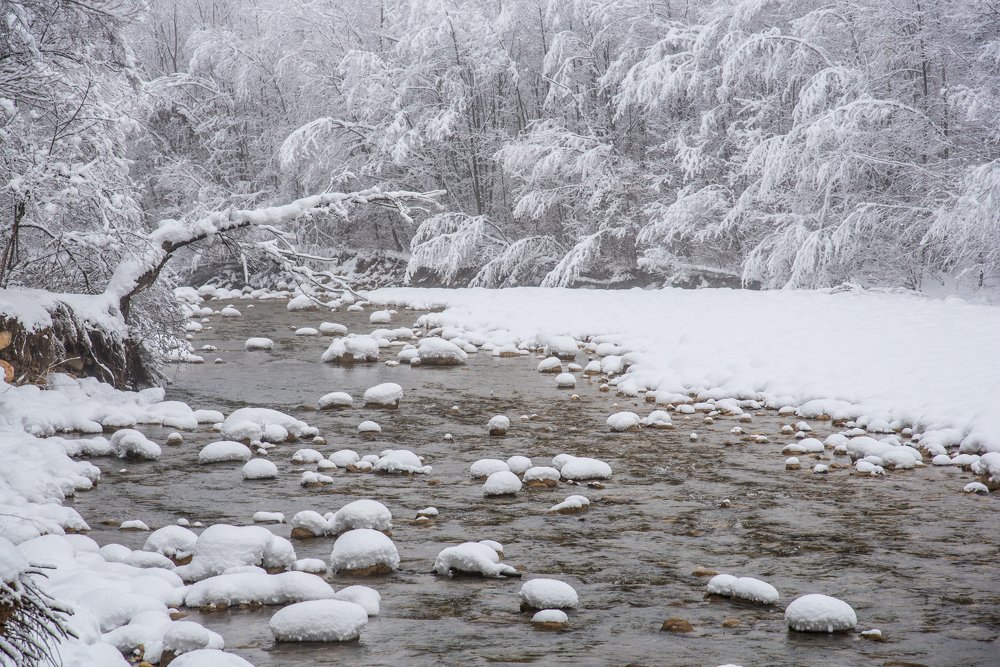 Первый снегопад