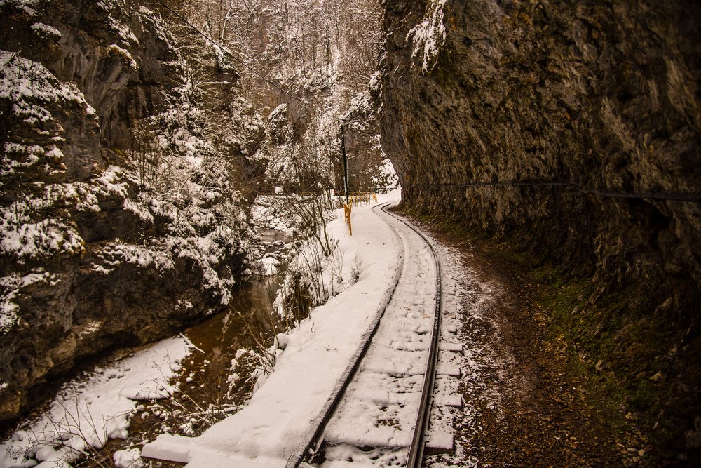 Photograph by Михаил Кравченко