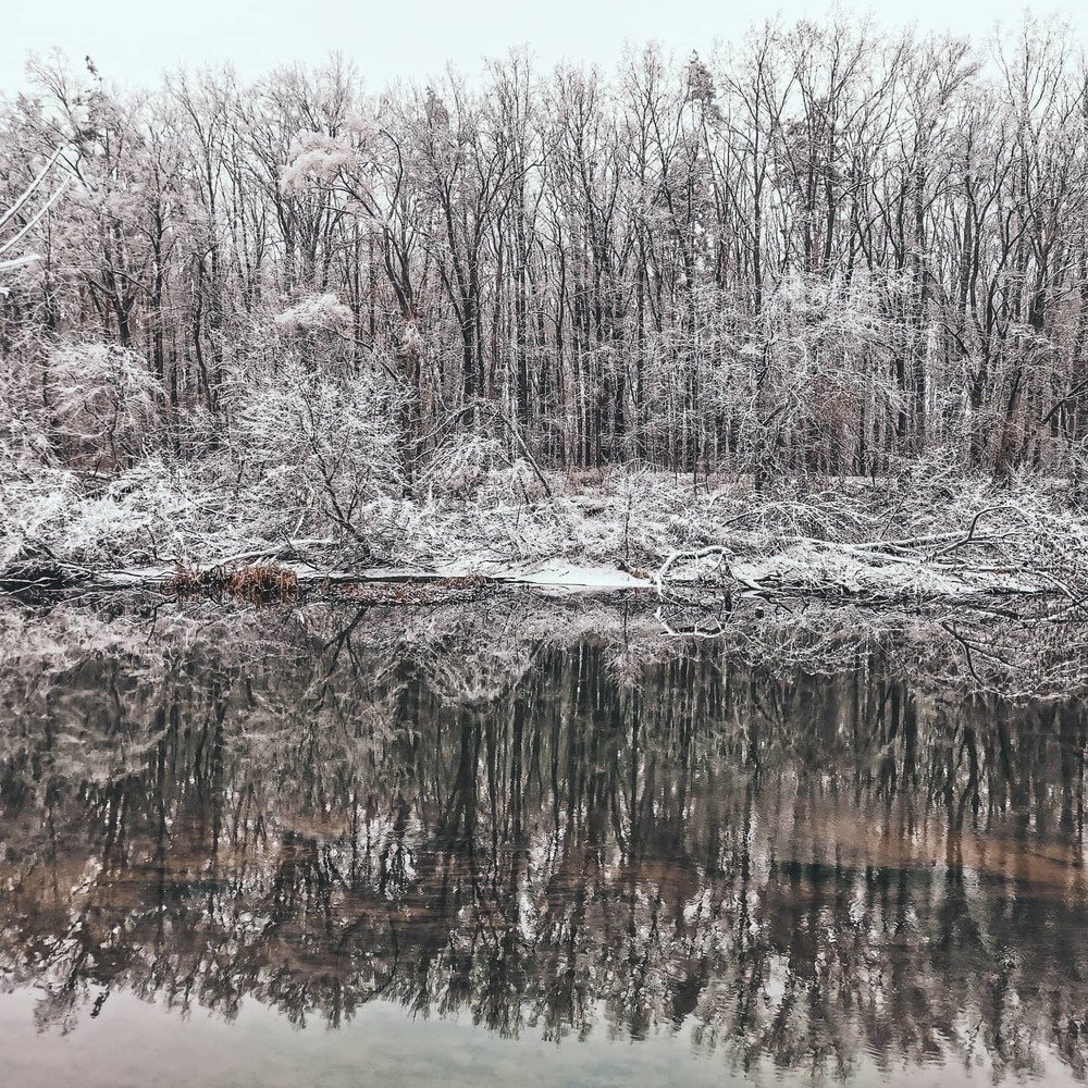 Фотография автора Алла Роденко