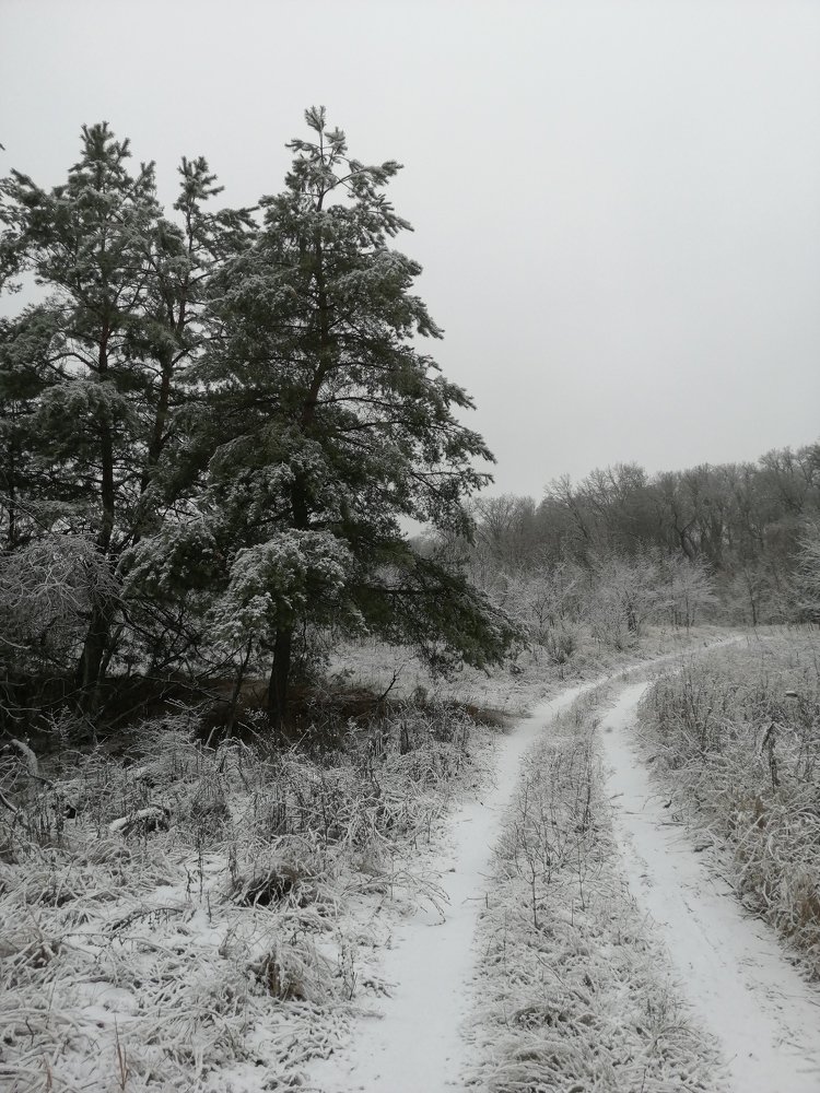 Фотография автора Алла Роденко