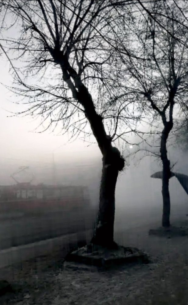 Photograph by Анастасия Прейс