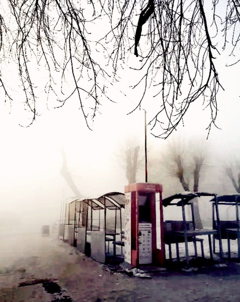 Photograph by Анастасия Прейс