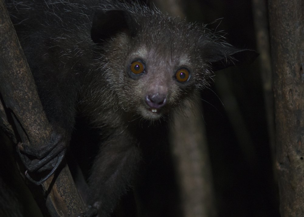 Photograph by Сергей Волков