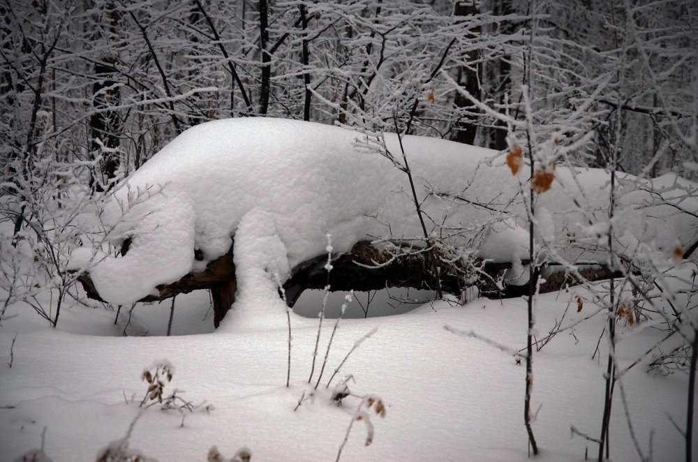 Показалось