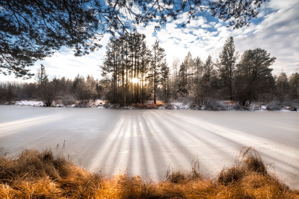 холодный зимний денёк