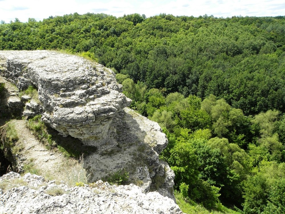 Photograph by Александр Малютин