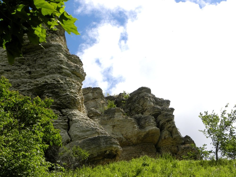 Photograph by Александр Малютин