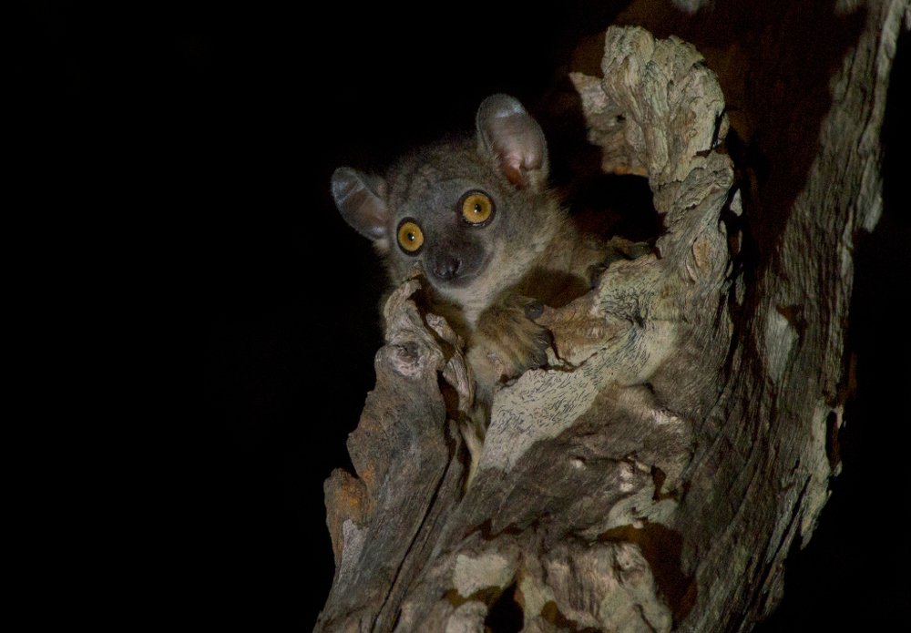 Photograph by Сергей Волков