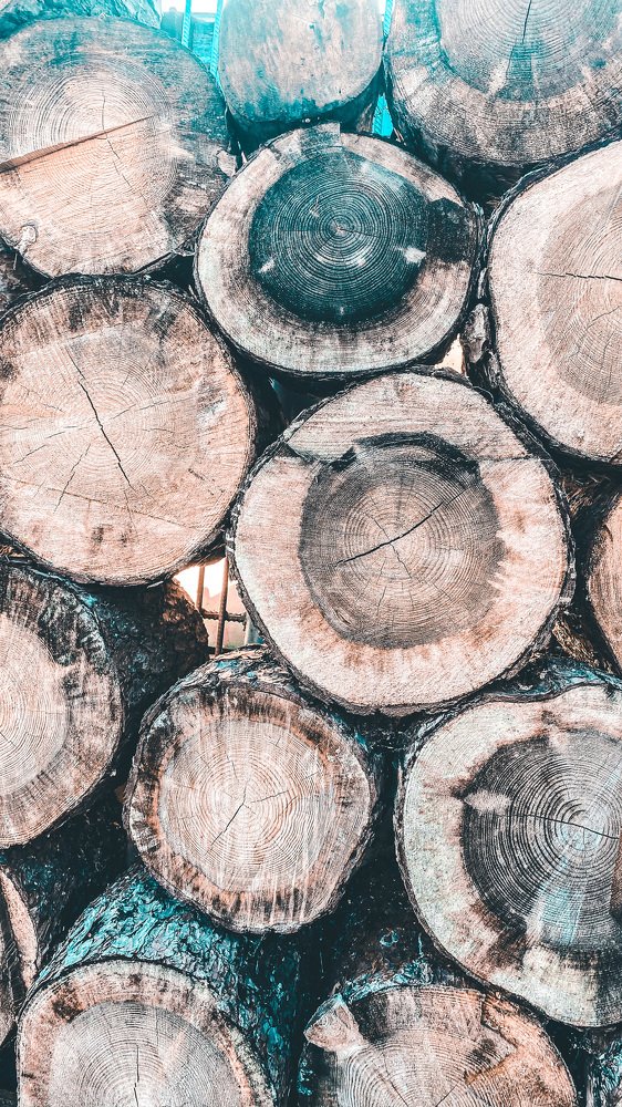 Лесной сруб