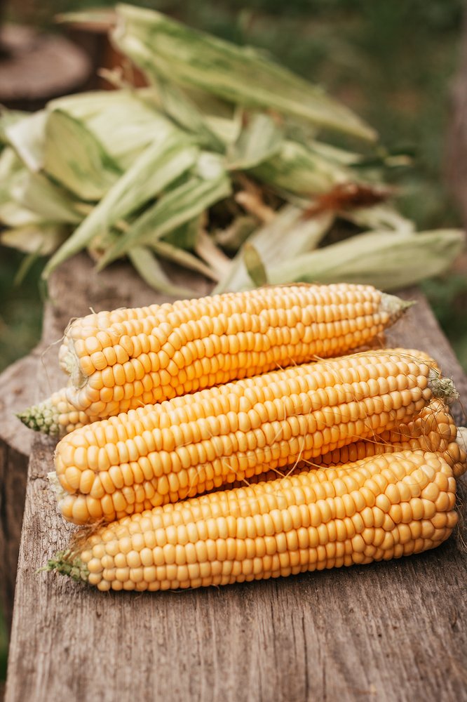 Photograph by Алена