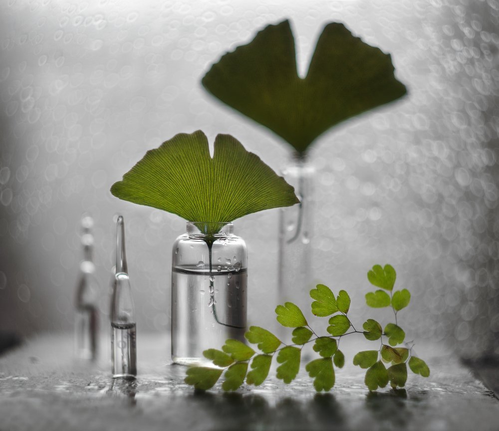 Photograph by Svoboda Andreeva