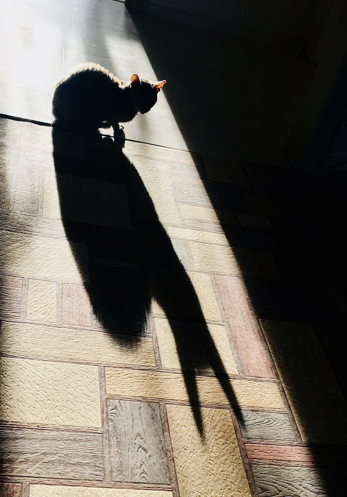 Photograph by Ирина Ксензова