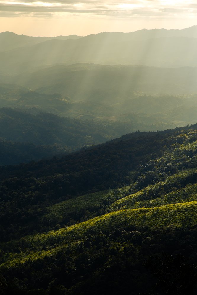 Photograph by Krid Karnsomdee