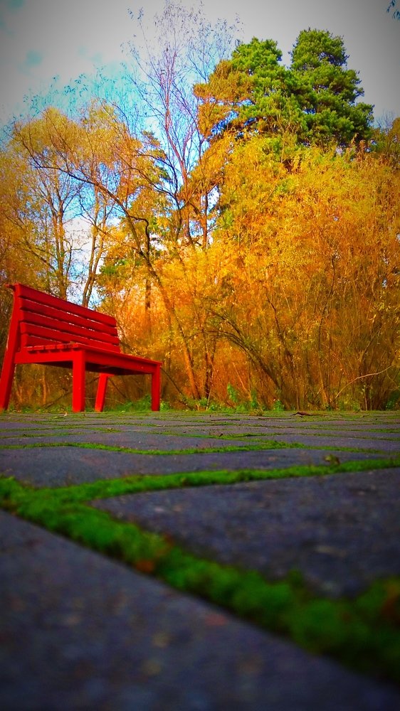 Photograph by Мария Бербега