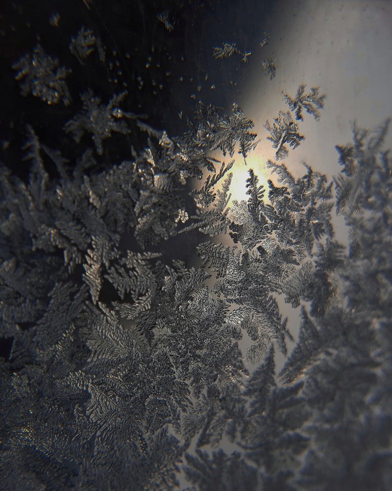 Photograph by Евгения Синкина