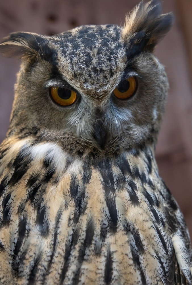 Photograph by Екатерина Кицмен