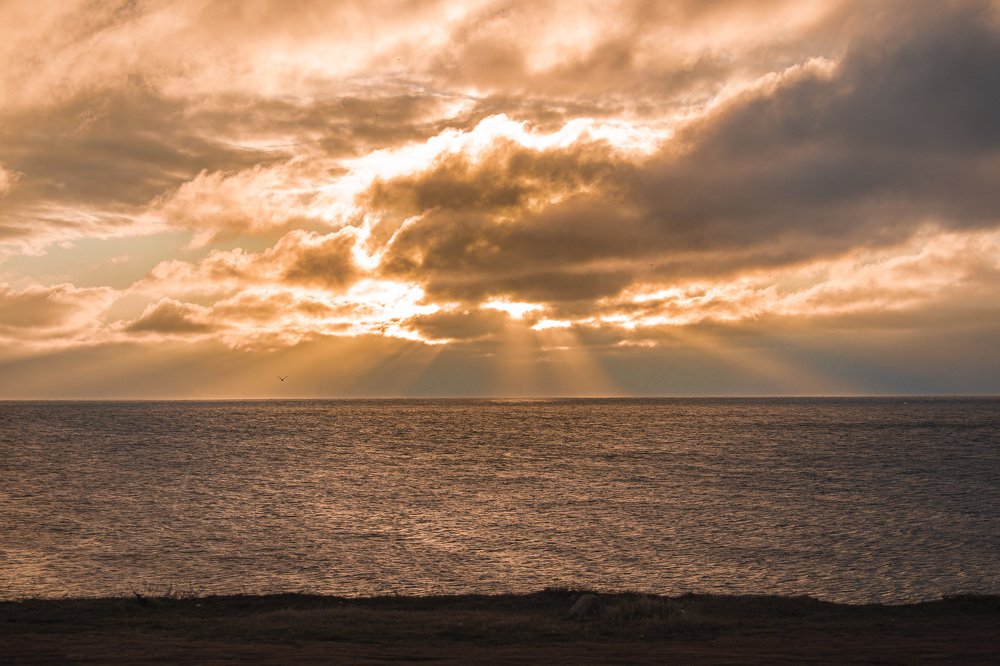 Photograph by Vladimir Soroka