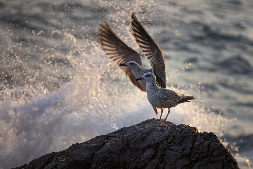 Photograph by Vladimir Soroka