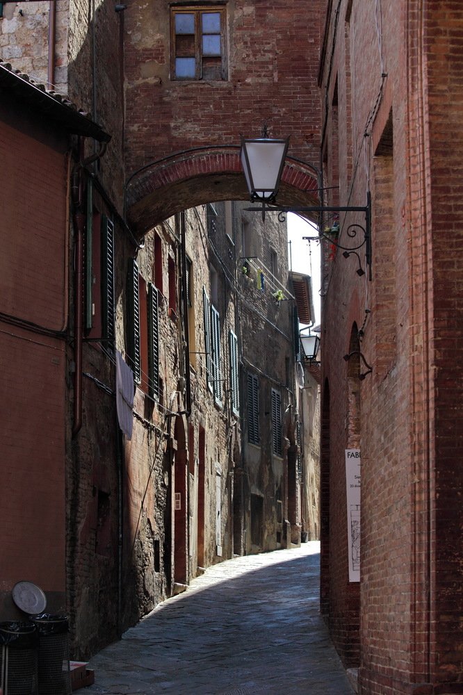 Photograph by Константин Лагоденко