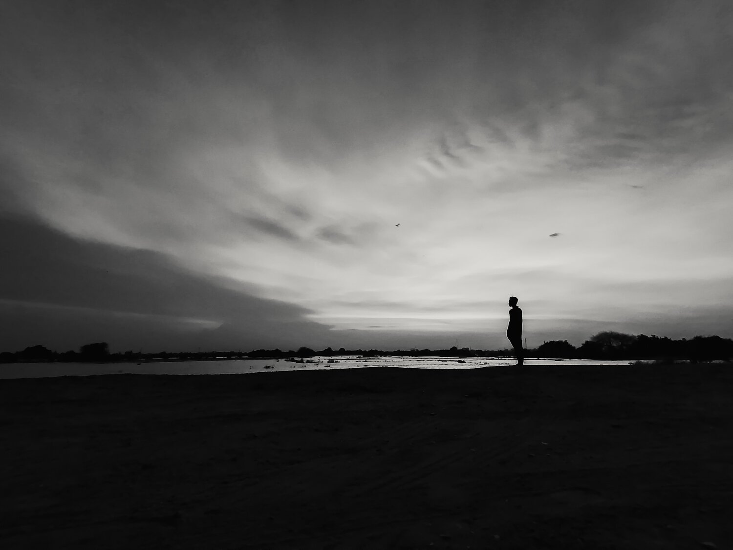 Photo #5434864