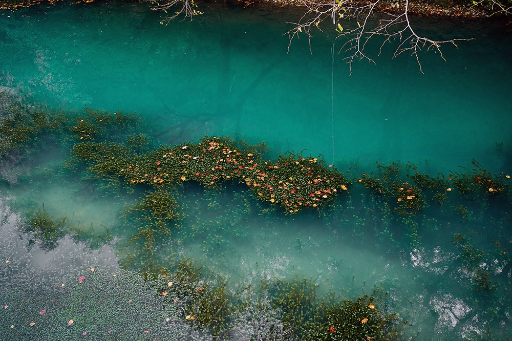 Photograph by Лариса Процкова