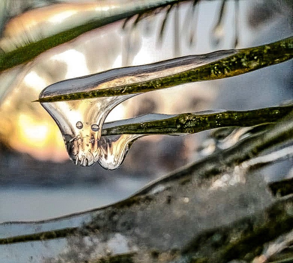 Photograph by Никита Юрин