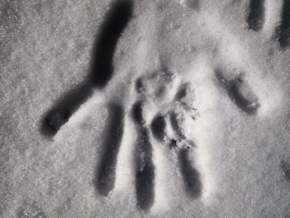 Photograph by Baiba Mennika Paegle