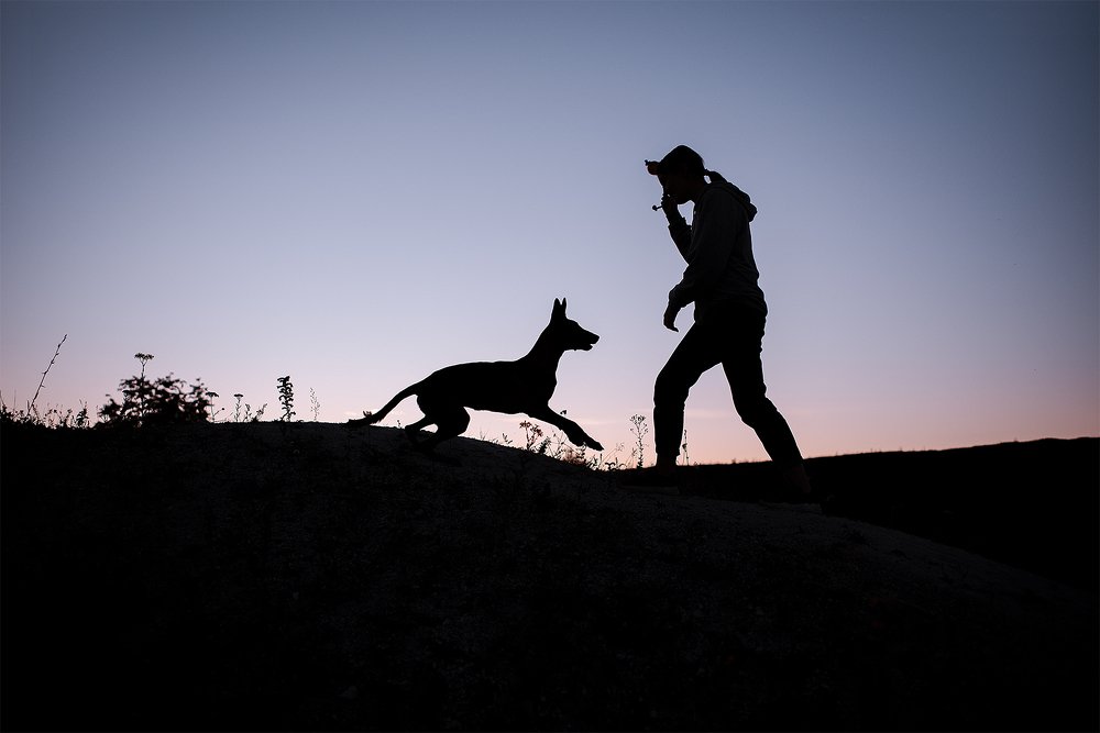 Photograph by Анастасия Пикей