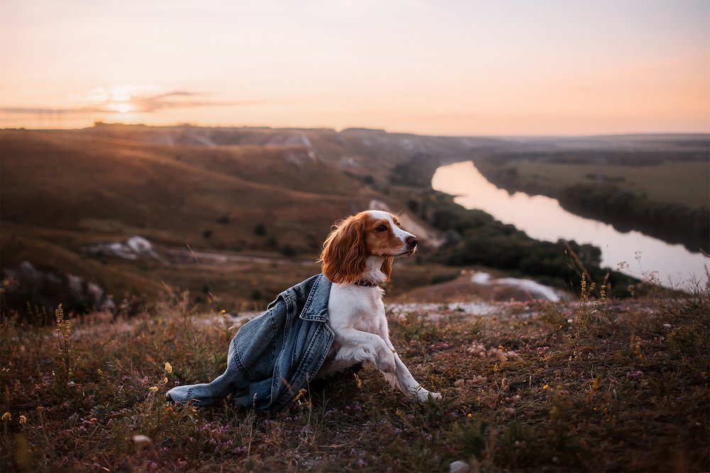 Photograph by Анастасия Пикей