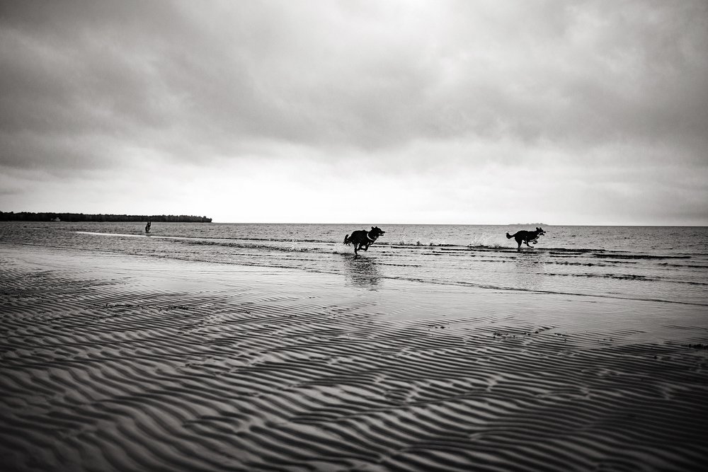 Photograph by Анастасия Пикей